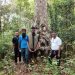 Penjabat Bupati SBB Jajaki “Negeri Atas Awan” Lohia Sapalewa, Mendaki Gunung Keramat Tanuseku