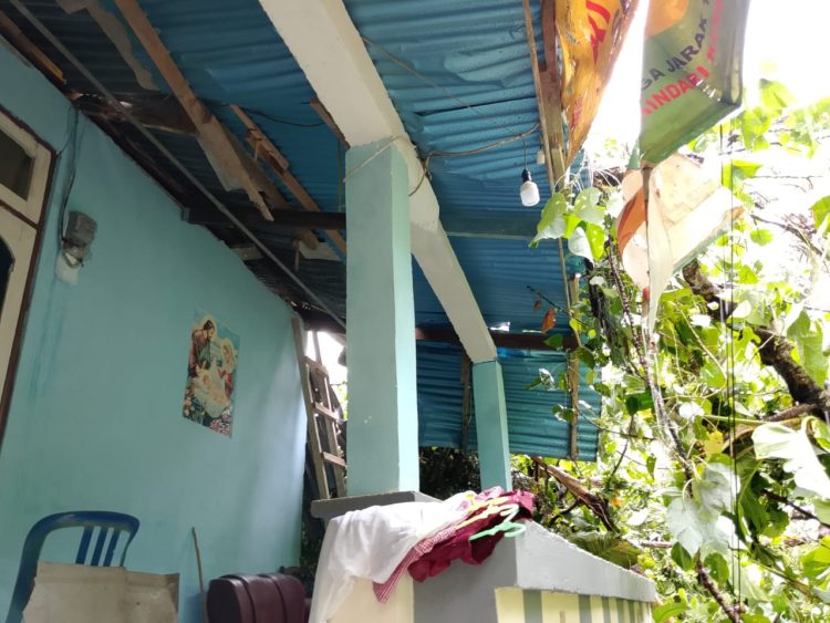 Diguyur Hujan dan Angin Kencang, Pohon Tumbang Timpah Rumah di Ambon