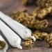 Miliki Ganja Dua Mahasiswa di Ambon Diamankan Polda Maluku