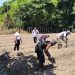 Harapan Sukses dan Berhasil, Lapas Wahai Garap Lahan Baru Dukung Ketahanan Pangan