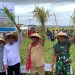 Dari Sawah ke Ketahanan Pangan: Wagub Maluku Panen Raya di Waisaih, Gaungkan Semangat Swasembada