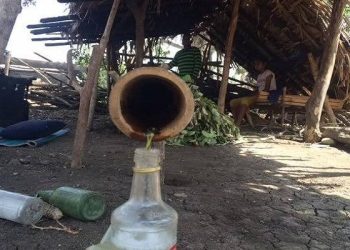 Melegalkan untuk Mengatur – Bukan Menghalalkan, Sopi