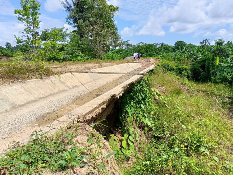 Jejak Kiat dan PT Ikinresi Bersama Disorot, Publik Desak Kejaksaan dan Polda Maluku Turun Tangan