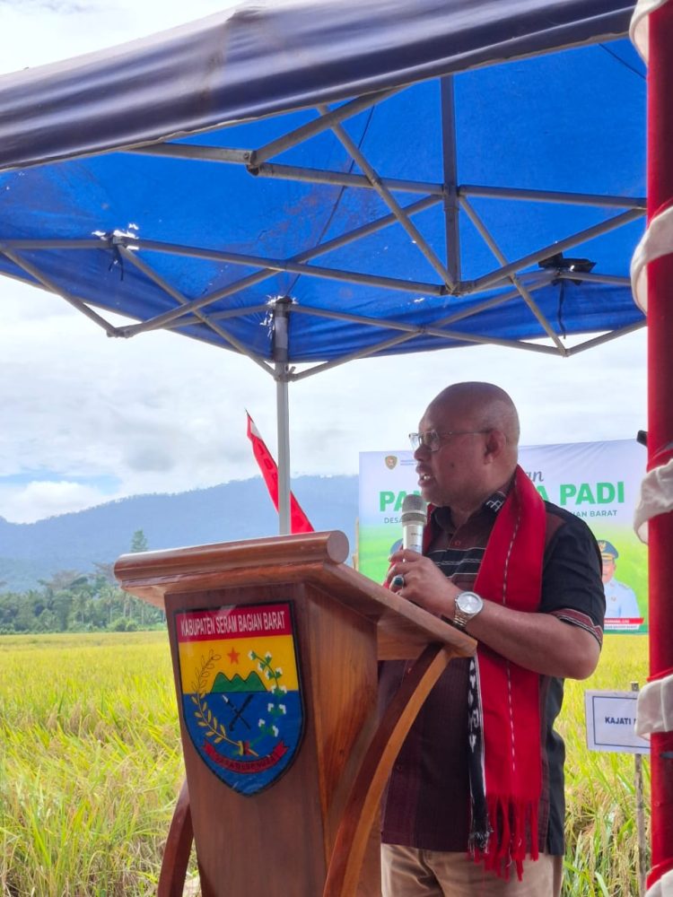 Panen Raya Padi di Waimital SBB, Gubernur Maluku Ajak Wujudkan Kemandirian Pangan