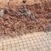 Konstruksi Irigasi Sariputih: Wiremesh hanya ditempel di sisi luar tanah timbunan tanpa integrasi dengan pengecoran beton.*