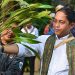 Dari Getah Damar hingga Satwa Endemik, Ini Agenda Menteri Kehutanan di Ambon