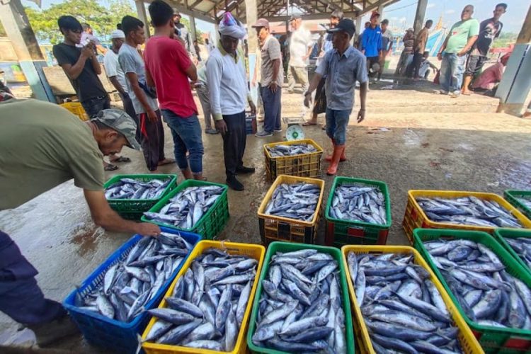 Pengelola Cold Storage Pemda Malteng Bantah Isu Keterlibatan Oknum Polairud di Banda