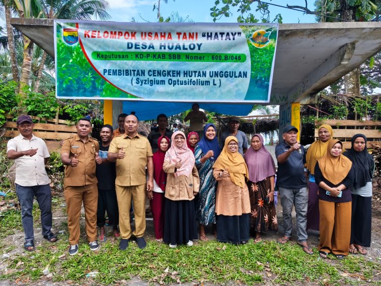 Pemkab SBB dan Anggota DPR RI Saadiah Tinjau Pembibitan Cengkeh Hutan Unggulan di Desa Hualoy