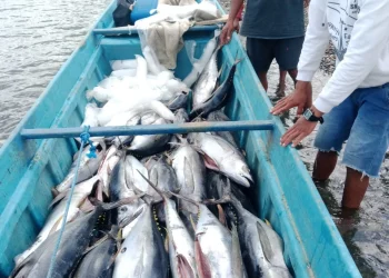 BKP–BTR Perkuat Pemberdayaan Nelayan Lokal di Pulau Wetar