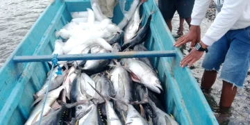 BKP–BTR Perkuat Pemberdayaan Nelayan Lokal di Pulau Wetar