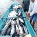 BKP–BTR Perkuat Pemberdayaan Nelayan Lokal di Pulau Wetar