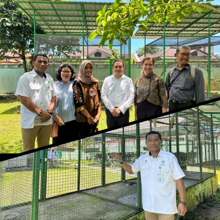 UNDP BIOFIN Tinjau Dampak Sukuk Hijau Keanekaragaman Hayati Saat Kunjungi Pusat Konservasi Satwa Maluku