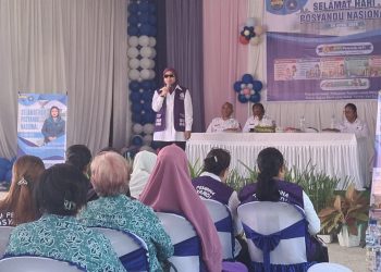 Penguatan Layanan Kesehatan Dasar, Posyandu SBB Fokus Implementasi 6 SPM
