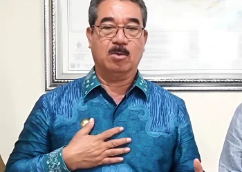 Dari Data ke Kebijakan: Lawamena Satu Data Maluku Segera Diluncurkan