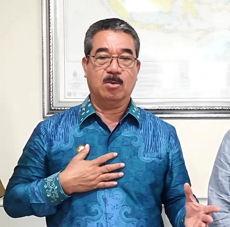 Dari Data ke Kebijakan: Lawamena Satu Data Maluku Segera Diluncurkan