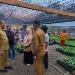 Kembalikan Kejayaan Rempah Maluku, Emas Hijau dari Amalatu Diproyeksikan akan Jadi Komoditas Unggulan SBB dan motor kebangkitan ekonomi Maluku