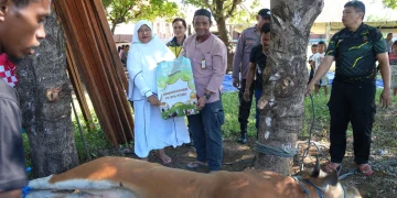 BKP-BTR Salurkan Hewan Kurban ke Warga Wetar, Perkuat Harmoni dengan Masyarakat