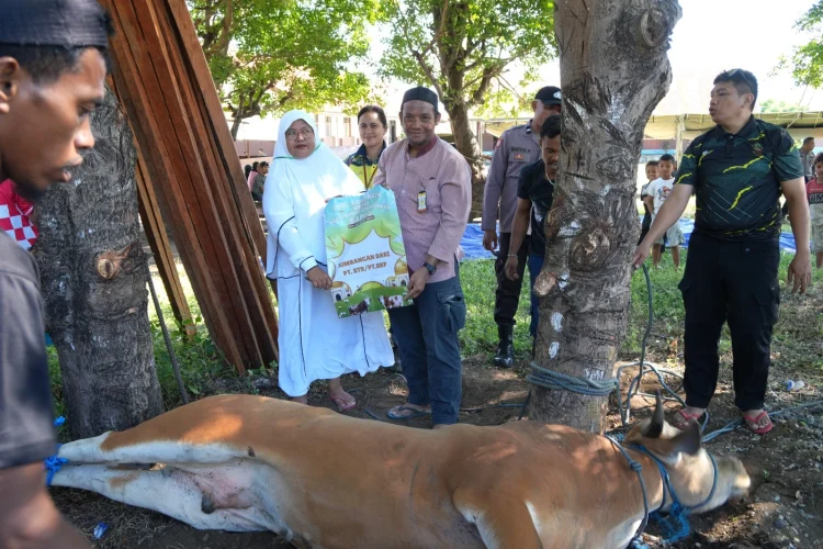 BKP-BTR Salurkan Hewan Kurban ke Warga Wetar, Perkuat Harmoni dengan Masyarakat