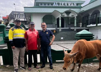 Idul Adha 1447 H, BKP-BTR Distribusikan Hewan Kurban ke Wetar, Ambon hingga Tiakur