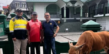 Idul Adha 1447 H, BKP-BTR Distribusikan Hewan Kurban ke Wetar, Ambon hingga Tiakur