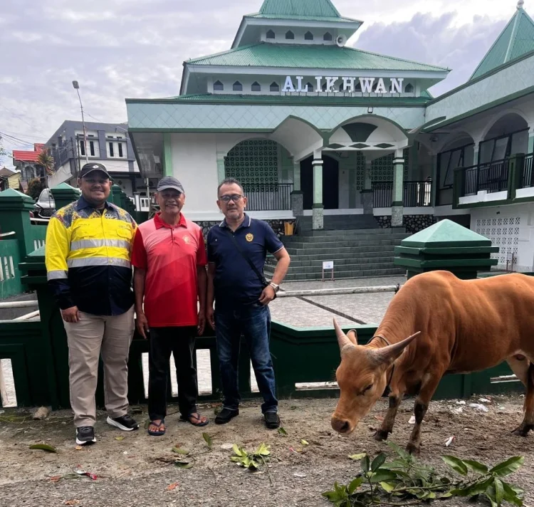 Idul Adha 1447 H, BKP-BTR Distribusikan Hewan Kurban ke Wetar, Ambon hingga Tiakur