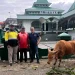 Idul Adha 1447 H, BKP-BTR Distribusikan Hewan Kurban ke Wetar, Ambon hingga Tiakur