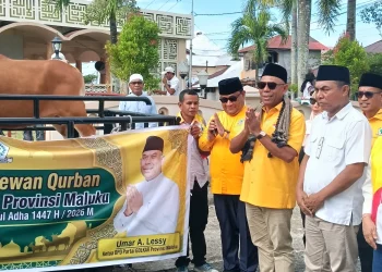 Golkar Maluku Serahkan Hewan Qurban di Tulehu