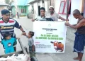 Maluku Terbanyak, Yayasan Indah Distribusikan 75 Hewan Qurban di Indonesia Timur