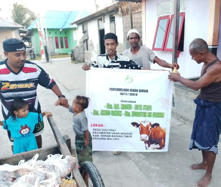 Maluku Terbanyak, Yayasan Indah Distribusikan 75 Hewan Qurban di Indonesia Timur