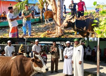 Kader PKB Tebar Berkah Iduladha di Tanimbar, MTK: Kurban Adalah Amanah Hati untuk Basis