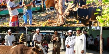 Kader PKB Tebar Berkah Iduladha di Tanimbar, MTK: Kurban Adalah Amanah Hati untuk Basis