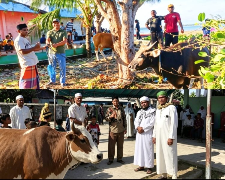 Kader PKB Tebar Berkah Iduladha di Tanimbar, MTK: Kurban Adalah Amanah Hati untuk Basis
