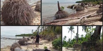 Aktivis Lingkungan Maluku Kecam Pengerukan Pasir Liar di Pantai Lermatang Tanimbar: “Ini Pembantaian Ekosistem!”